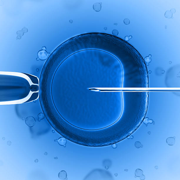 Living the Future: Fertility Technology ช่วยการเจริญพันธุ์ กับการตั้งครรภ์หลังอายุ 35