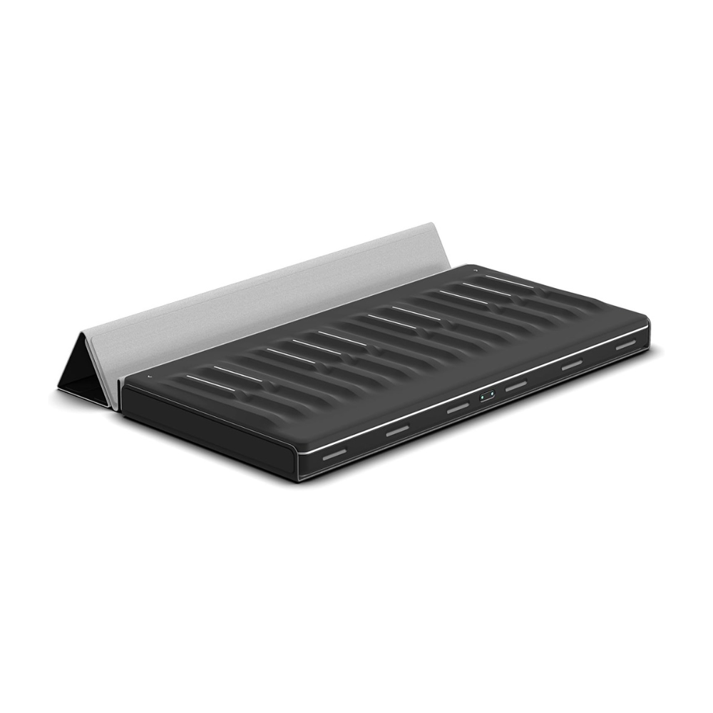 ROLI Seaboard Block Snapcase - view 2