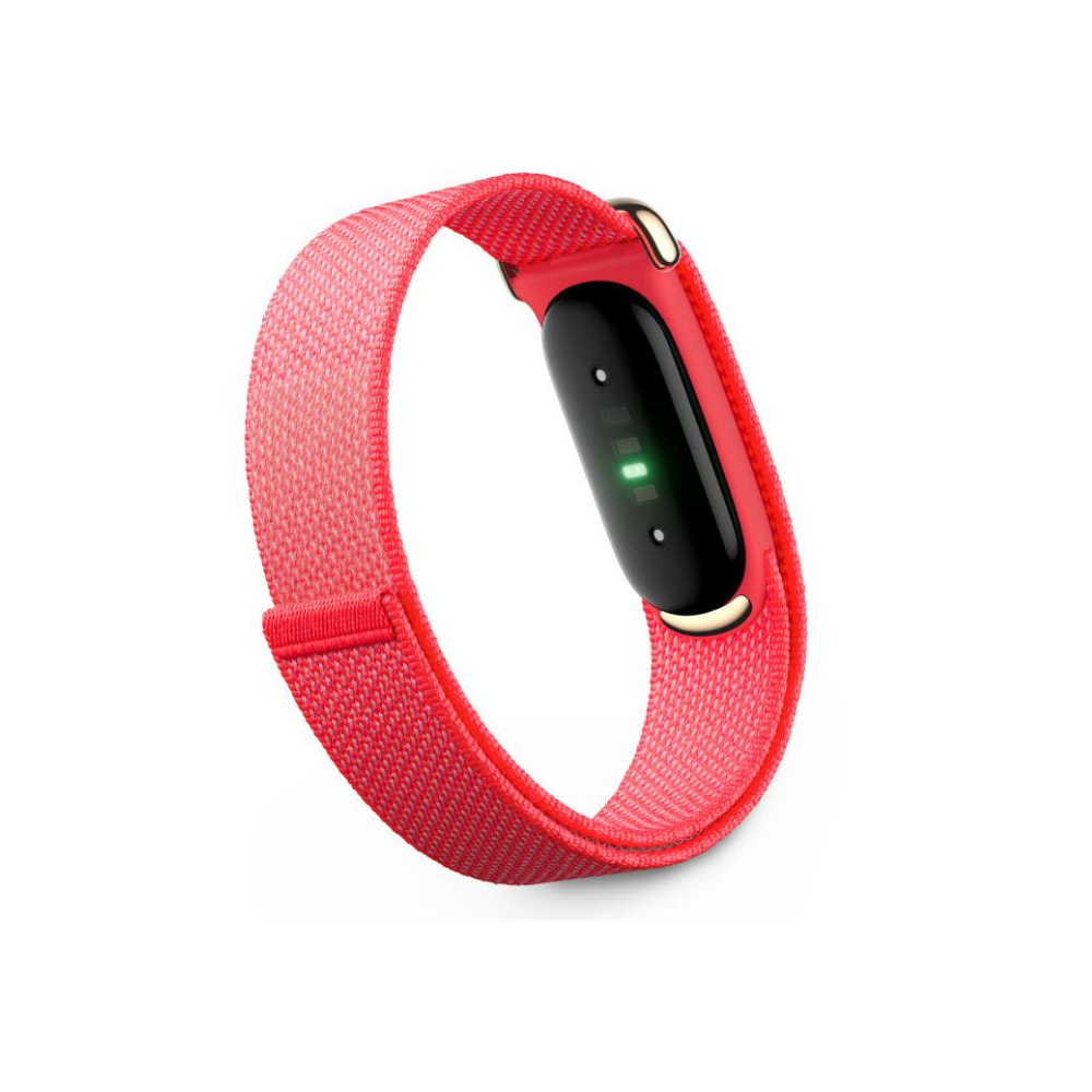Google Fitbit Air (Berry)