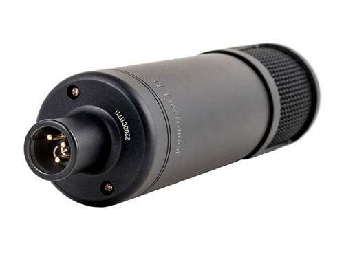 sE Electronics : sE2200