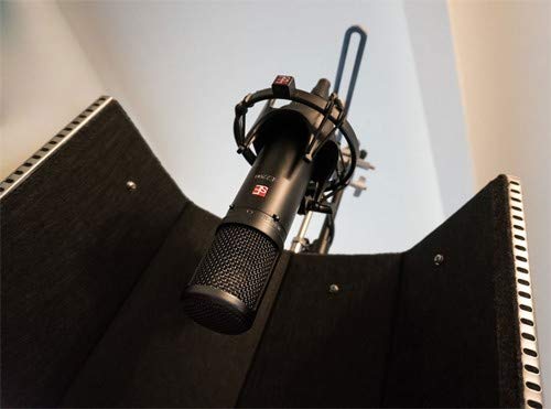 sE Electronics : sE2200