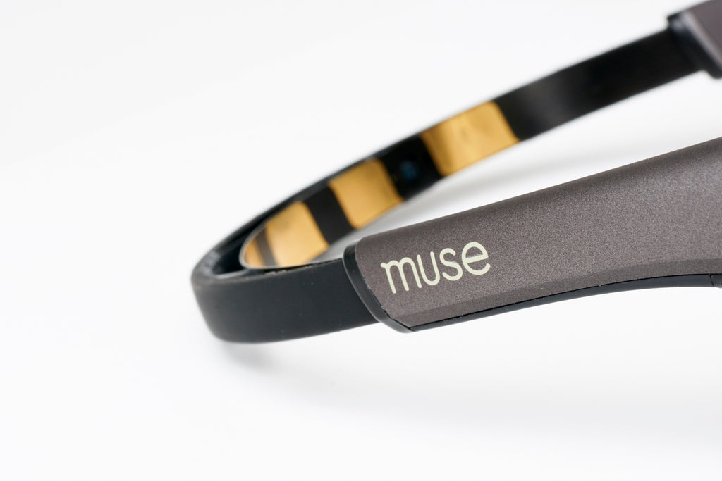 Muse 2 - view 4