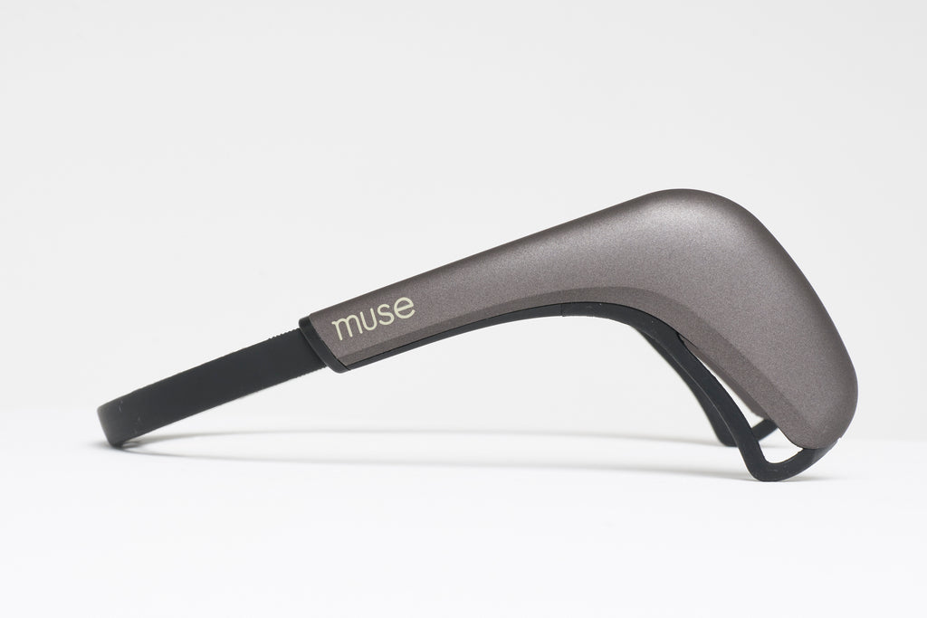 Muse 2 - view 5